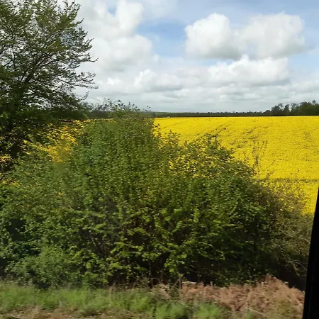 Chez Coco, 7 Persons, Triangle D'or, Hypercentre Deauville