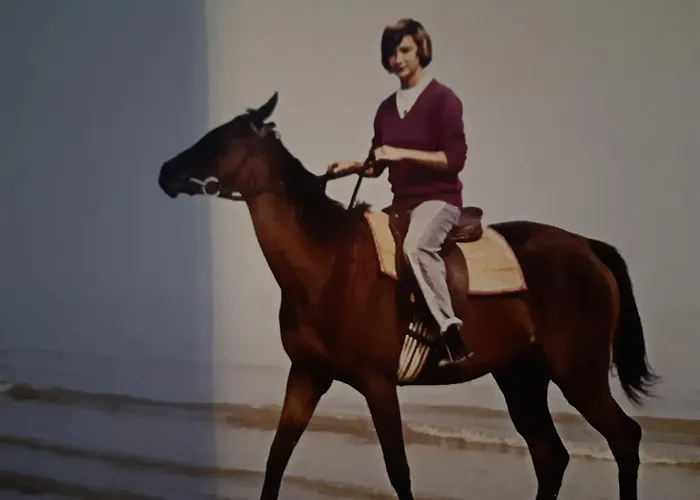 Lejlighed Chez Coco, 7 Persons, Triangle D'or, Hypercentre *