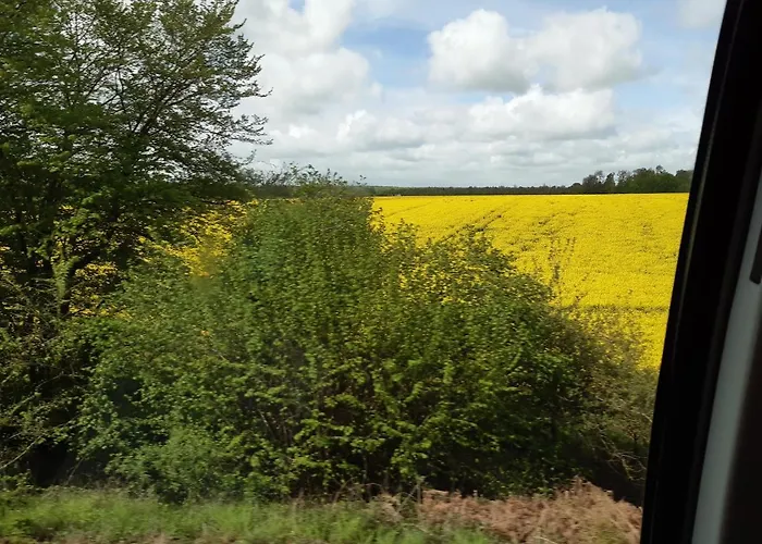 Chez Coco, 7 Persons, Triangle D'or, Hypercentre Deauville