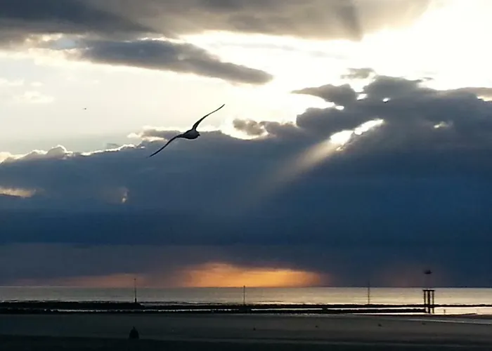 Chez Coco, 7 Persons, Triangle D'or, Hypercentre 公寓 *