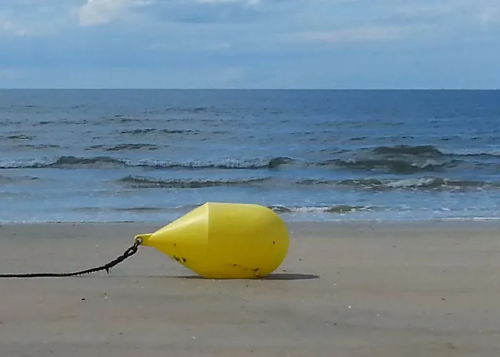 Chez Coco, 7 Persons, Triangle D'or, Hypercentre Deauville